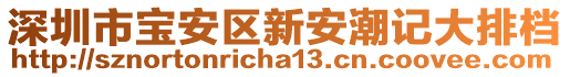 深圳市寶安區(qū)新安潮記大排檔