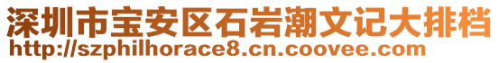 深圳市寶安區(qū)石巖潮文記大排檔