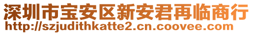 深圳市寶安區(qū)新安君再臨商行