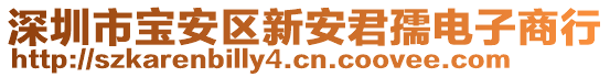 深圳市寶安區(qū)新安君孺電子商行