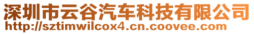 深圳市云谷汽車科技有限公司