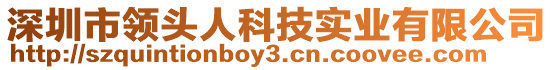 深圳市領(lǐng)頭人科技實(shí)業(yè)有限公司