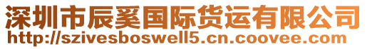 深圳市辰奚國際貨運有限公司