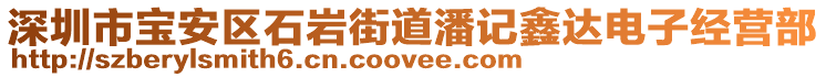 深圳市宝安区石岩街道潘记鑫达电子经营部