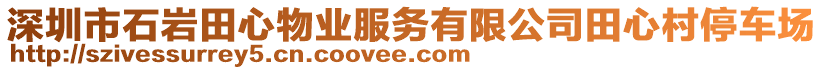 深圳市石巖田心物業服務有限公司田心村停車場