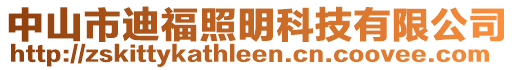 中山市迪福照明科技有限公司