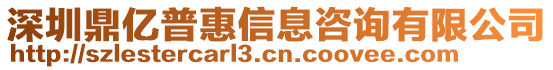 深圳鼎億普惠信息咨詢有限公司