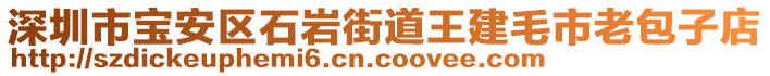 深圳市寶安區(qū)石巖街道王建毛市老包子店