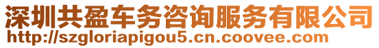 深圳共盈車務(wù)咨詢服務(wù)有限公司