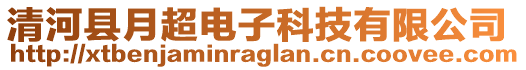 清河縣月超電子科技有限公司