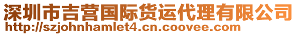 深圳市吉營國際貨運(yùn)代理有限公司