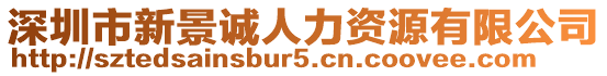 深圳市新景誠(chéng)人力資源有限公司