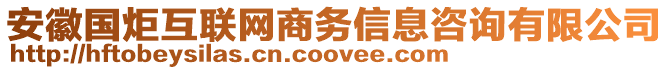 安徽國炬互聯(lián)網(wǎng)商務(wù)信息咨詢有限公司