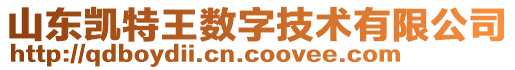 山東凱特王數字技術有限公司