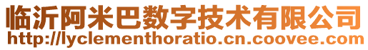 臨沂阿米巴數字技術有限公司