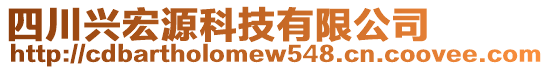 四川興宏源科技有限公司