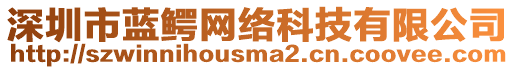 深圳市藍(lán)鱷網(wǎng)絡(luò)科技有限公司