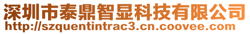 深圳市泰鼎智顯科技有限公司