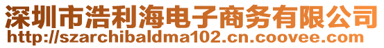 深圳市浩利海電子商務(wù)有限公司