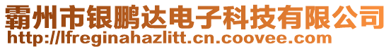 霸州市銀鵬達電子科技有限公司