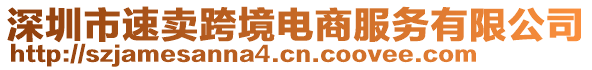 深圳市速賣跨境電商服務(wù)有限公司