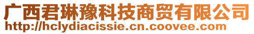 廣西君琳豫科技商貿(mào)有限公司