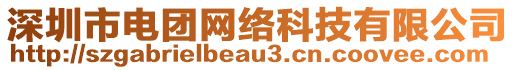 深圳市電團(tuán)網(wǎng)絡(luò)科技有限公司