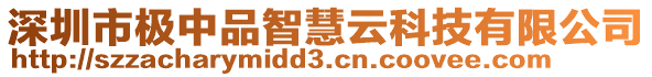 深圳市極中品智慧云科技有限公司