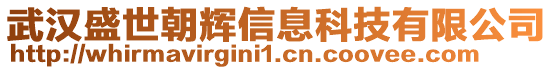 武漢盛世朝輝信息科技有限公司