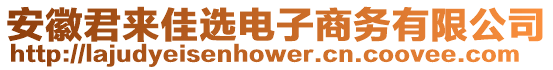 安徽君來佳選電子商務有限公司