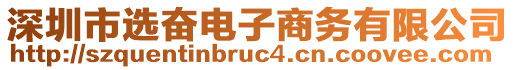 深圳市選奮電子商務(wù)有限公司