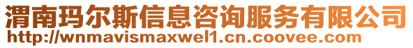 渭南瑪爾斯信息咨詢服務(wù)有限公司