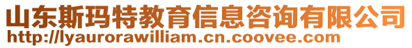 山東斯瑪特教育信息咨詢有限公司