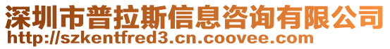 深圳市普拉斯信息咨詢有限公司