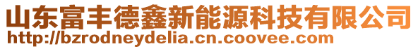 山東富豐德鑫新能源科技有限公司