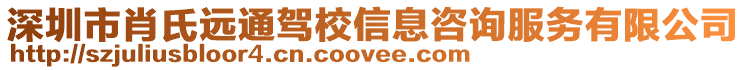 深圳市肖氏遠通駕校信息咨詢服務有限公司