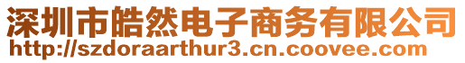 深圳市皓然電子商務有限公司