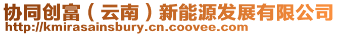 協(xié)同創(chuàng)富（云南）新能源發(fā)展有限公司