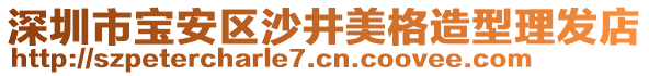 深圳市寶安區(qū)沙井美格造型理發(fā)店