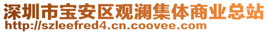 深圳市寶安區(qū)觀瀾集體商業(yè)總站