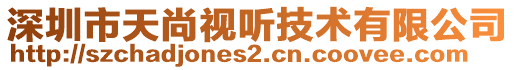 深圳市天尚視聽技術(shù)有限公司