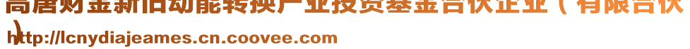 高唐財金新舊動能轉(zhuǎn)換產(chǎn)業(yè)投資基金合伙企業(yè)（有限合伙
）