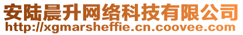 安陸晨升網(wǎng)絡(luò)科技有限公司