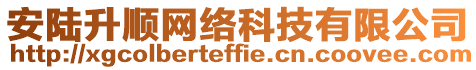 安陸升順網(wǎng)絡(luò)科技有限公司