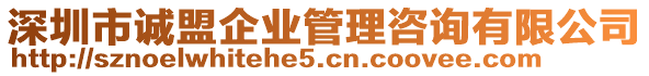 深圳市誠盟企業(yè)管理咨詢有限公司