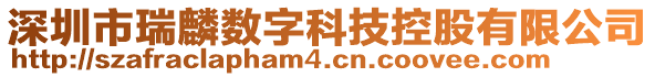 深圳市瑞麟数字科技控股有限公司