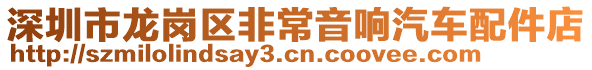 深圳市龍崗區(qū)非常音響汽車配件店