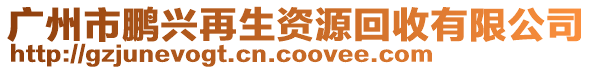 廣州市鵬興再生資源回收有限公司