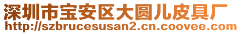 深圳市寶安區(qū)大圓兒皮具廠