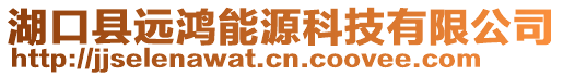 湖口县远鸿能源科技有限公司